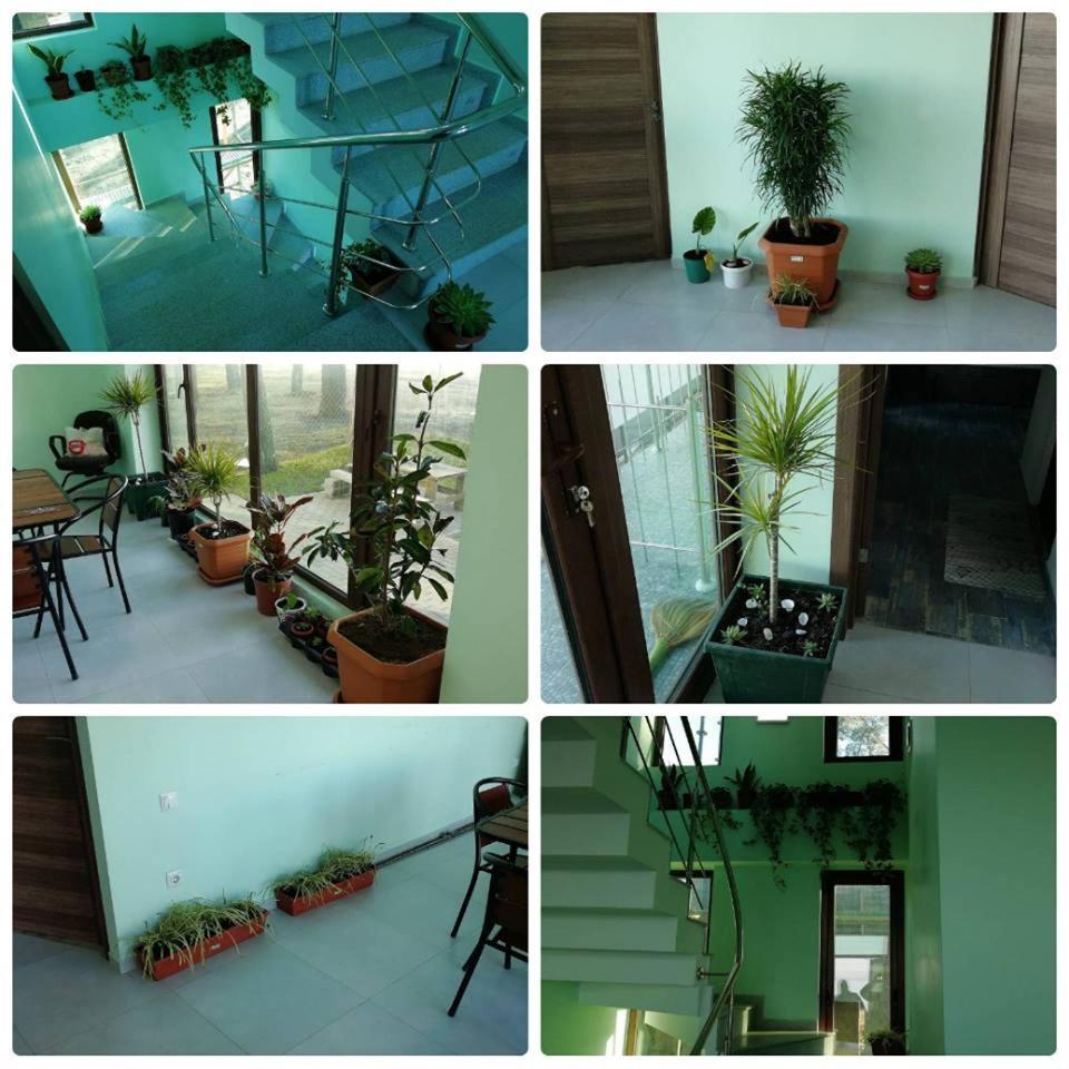 Shekvetili Green House Εξωτερικό φωτογραφία